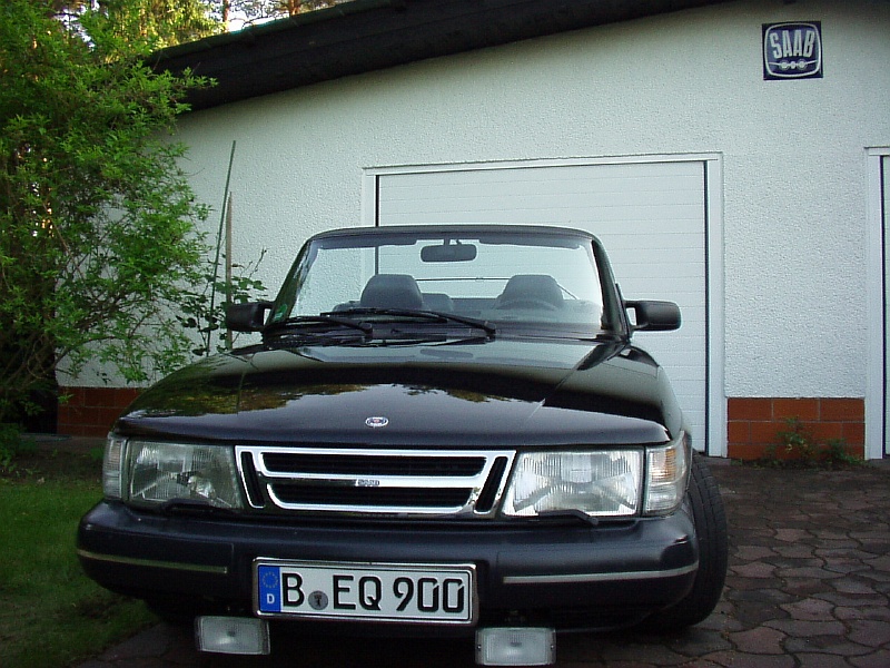 11052356.JPG